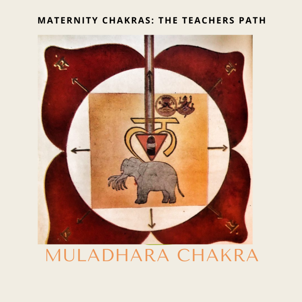 maternity chakras