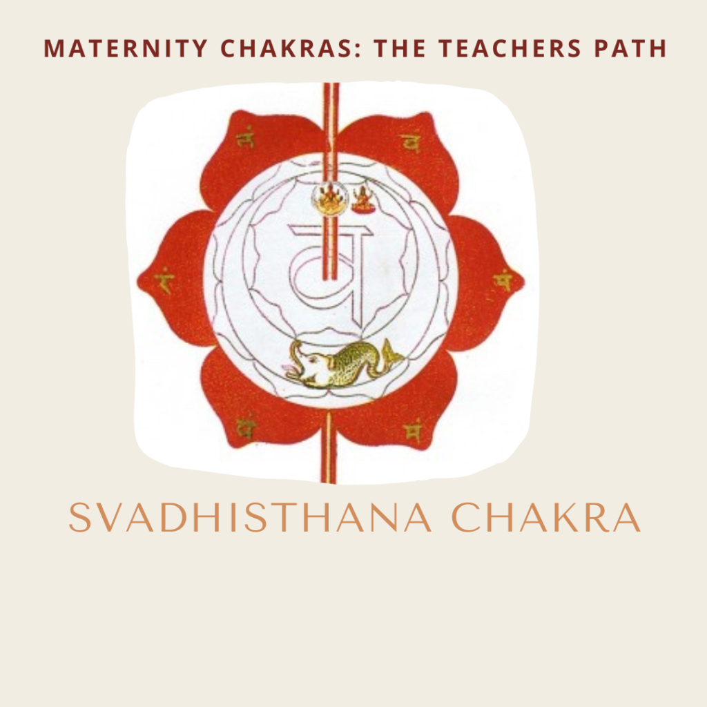 maternity chakra